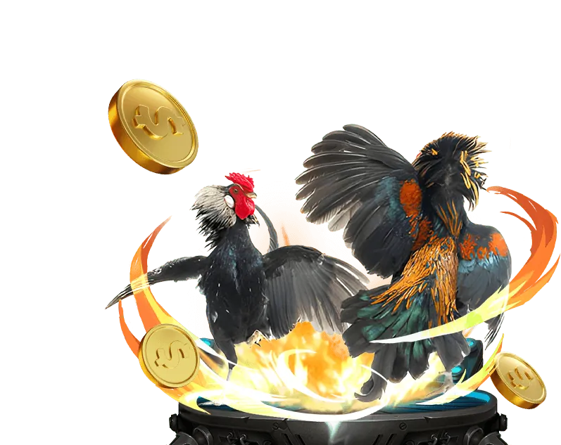 Phân Tích Gà Chiến 678win